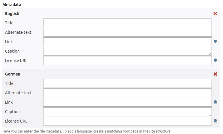 MetaWizard widget with two languages