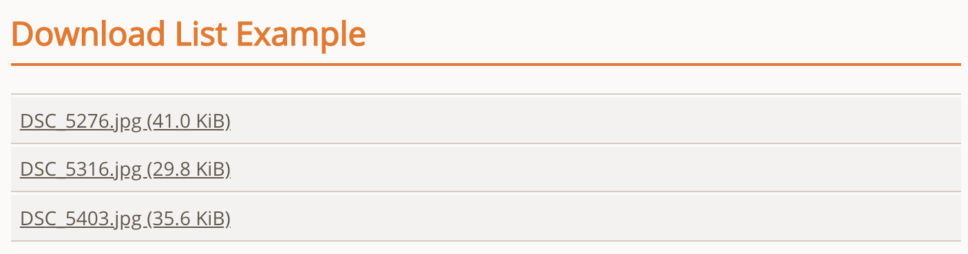 The Downloads element in the frontend