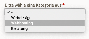 Ein Select-Menü im Frontend