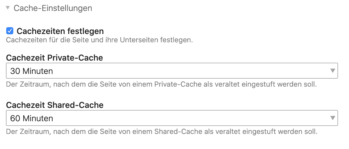 Caching-Einstellungsmöglichkeiten im Contao Backend